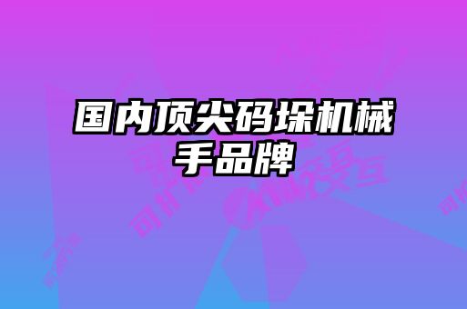 國內(nèi)頂尖碼垛機(jī)械手品牌