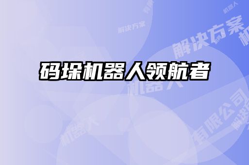 碼垛機器人領航者