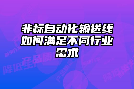 非標自動化輸送線如何滿足不同行業需求