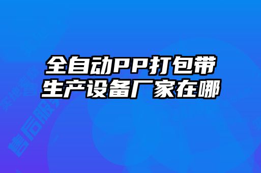 全自動PP打包帶生產設備廠家在哪