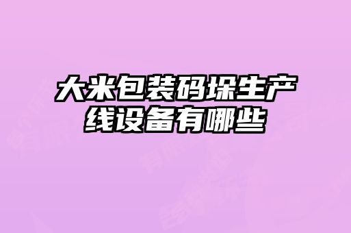 大米包裝碼垛生產線設備有哪些