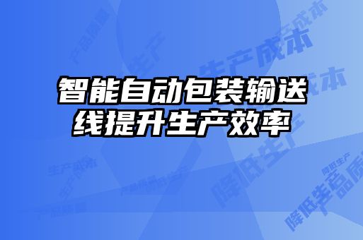 智能自動包裝輸送線提升生產效率