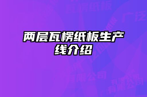 兩層瓦楞紙板生產線介紹