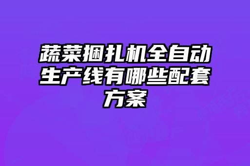 蔬菜捆扎機全自動生產線有哪些配套方案