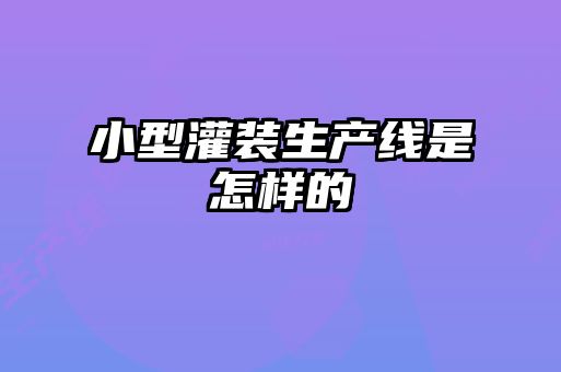 小型灌裝生產線是怎樣的