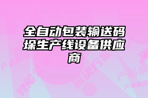 全自動包裝輸送碼垛生產線設備供應商