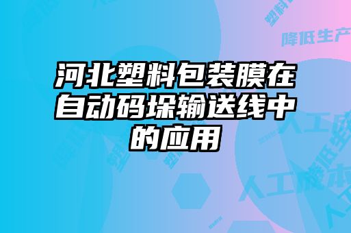 河北塑料包裝膜在自動碼垛輸送線中的應用