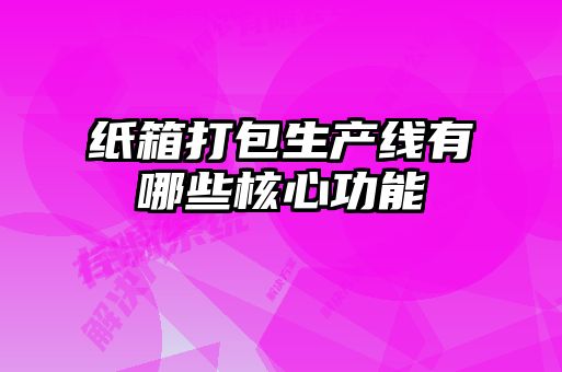 紙箱打包生產(chǎn)線有哪些核心功能