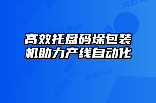 高效托盤碼垛包裝機助力產線自動化