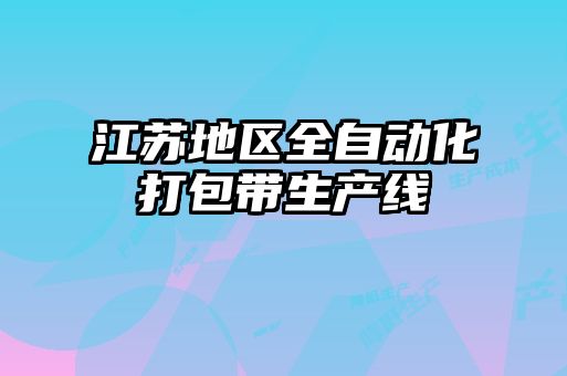江蘇地區全自動化打包帶生產線