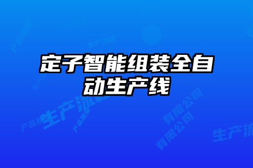 定子智能組裝全自動生產(chǎn)線