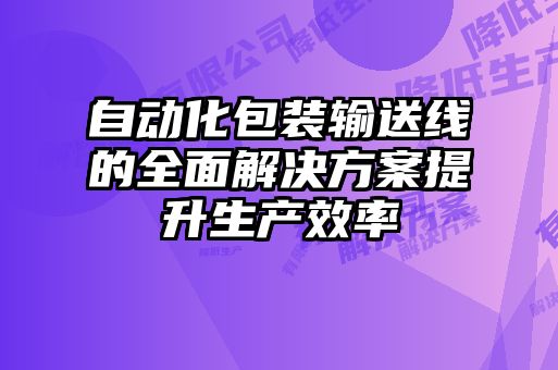 自動化包裝輸送線的全面解決方案提升生產效率