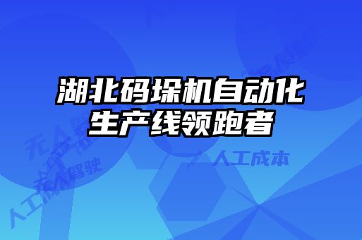 湖北碼垛機自動化生產線領跑者
