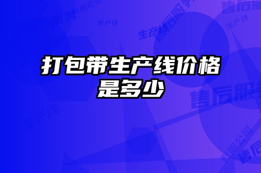 打包帶生產線價格是多少