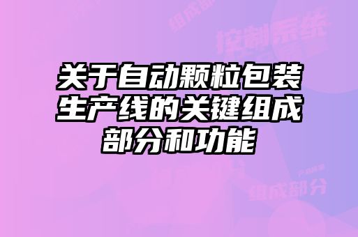關于自動顆粒包裝生產線的關鍵組成部分和功能