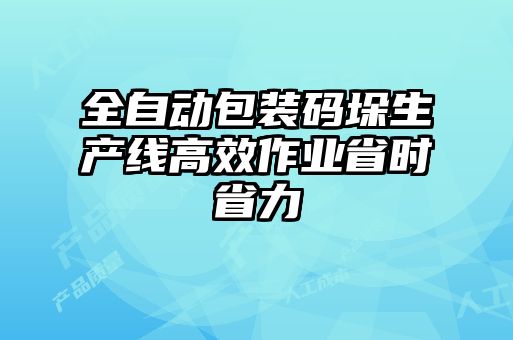 全自動包裝碼垛生產(chǎn)線高效作業(yè)省時省力