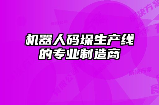 機器人碼垛生產線的專業制造商