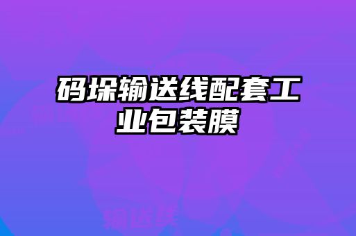 碼垛輸送線配套工業包裝膜