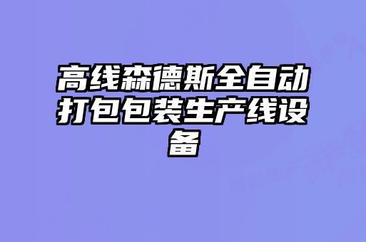 高線森德斯全自動打包包裝生產線設備