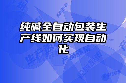 純堿全自動(dòng)包裝生產(chǎn)線如何實(shí)現(xiàn)自動(dòng)化