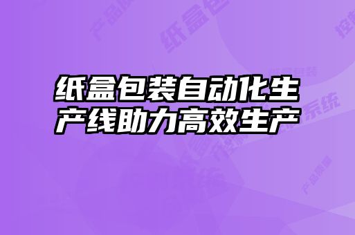 紙盒包裝自動化生產(chǎn)線助力高效生產(chǎn)