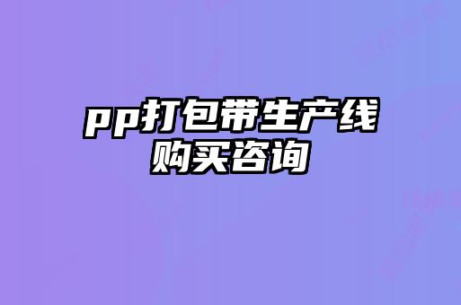 pp打包帶生產(chǎn)線購(gòu)買(mǎi)咨詢(xún)